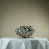Pyrite Stone™ | The Fortune Magnet