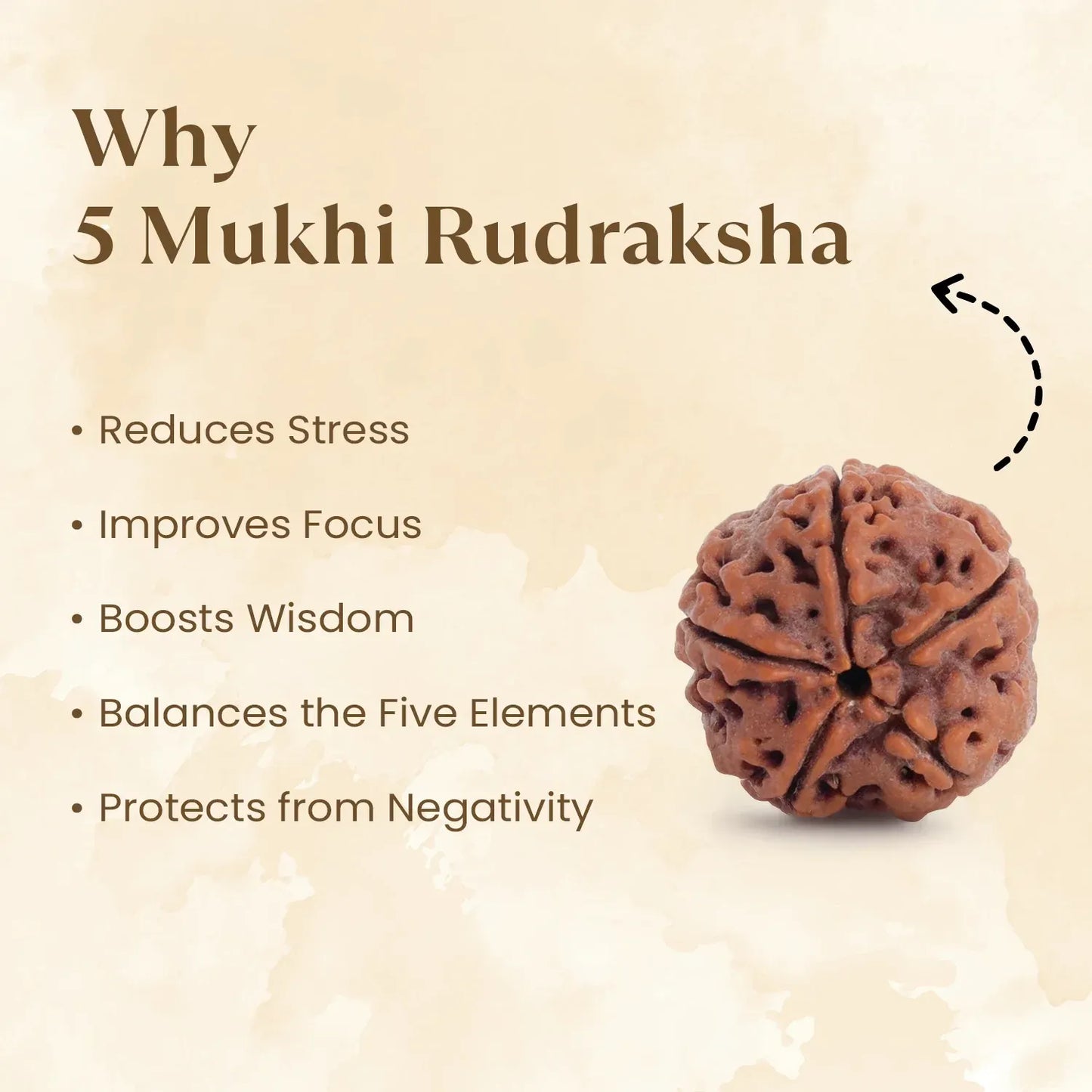 Panch Mukhi Rudraksha™ | Presence of Shivji