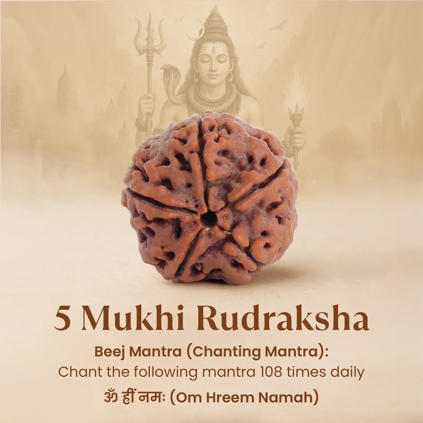 Panch Mukhi Rudraksha™ | Presence of Shivji
