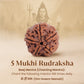 Panch Mukhi Rudraksha™ | Presence of Shivji