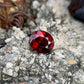 Garnet Stone™ | Timeless Sparkle