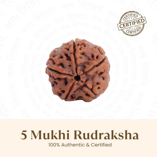 Panch Mukhi Rudraksha™ | Presence of Shivji
